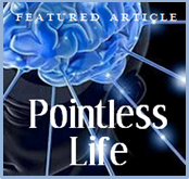 Pointless Life